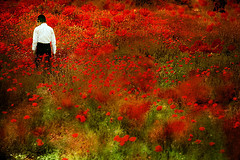 World of Imagination (by Gilad Benari)