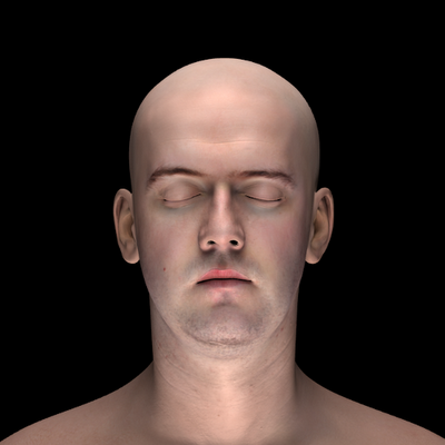 Use Open Source Software To Emulate Every Possible Lighting