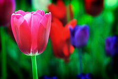 depth_of_field depth_of_field