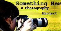 Something New - A Photography Project