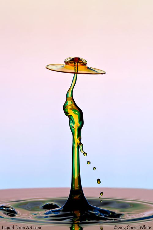 Pictures Of Water Drops Doing Their Thing