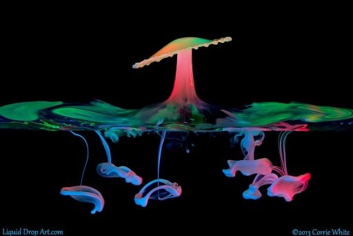 How To Photograph A "Bioluminescent Splash" How To Photograph A "Bioluminescent Splash"