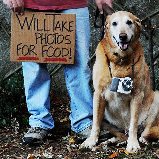 will-take-photos-for-food