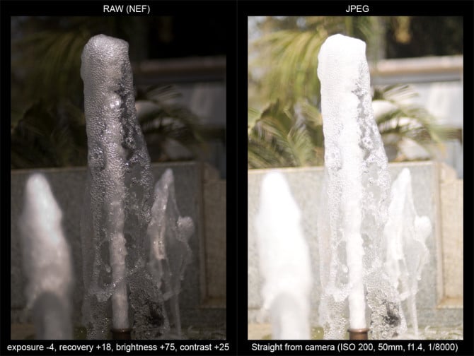 Photo by Stephen M. Boelaars