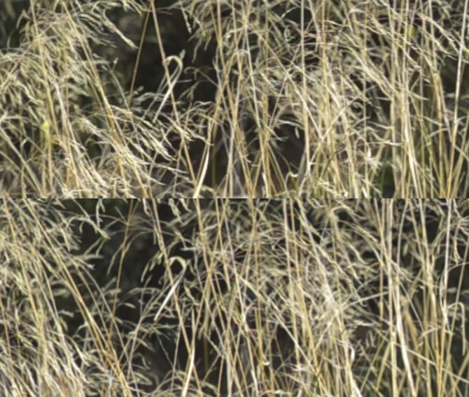 nikon-bitrate-18vs65-d7000