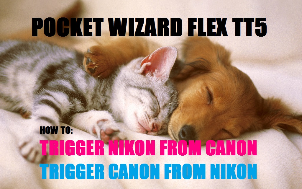 how to trigger nikon from canon pocket wizard flex tt5 how to trigger canon from nikon pocket wizard flex tt5 tutorial jp danko toronto commercial photographer