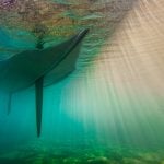 Sailboat dinghy hull underwater jp danko toronto commercial photographer, underwater photographer