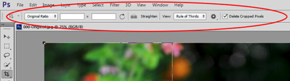 How to Resize Images for Print in Photoshop