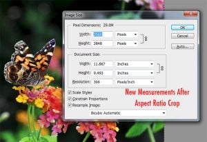 How to Resize Images for Print in Photoshop