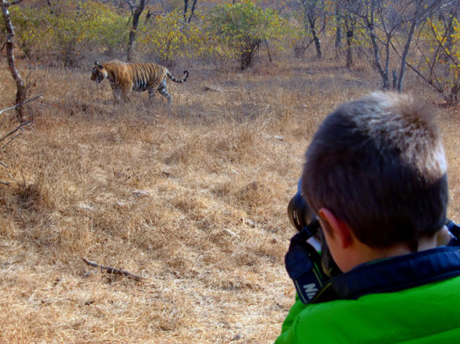 Carlos photographing tigers in India. (Photo courtesy of Eva Naval and Rodrigo Pérez)