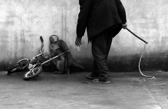 19_Yongzhi Chu