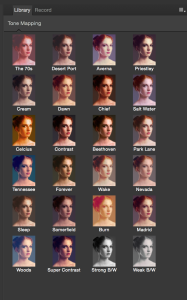 Different color previews in the Macro Persona