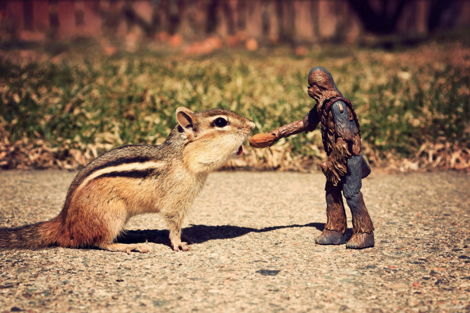 chipmonk-star-wars-01