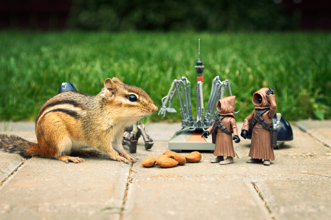 chipmonk-star-wars-05
