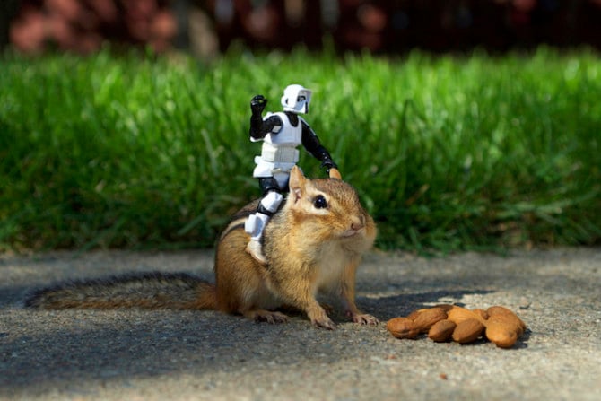 chipmonk-star-wars-07