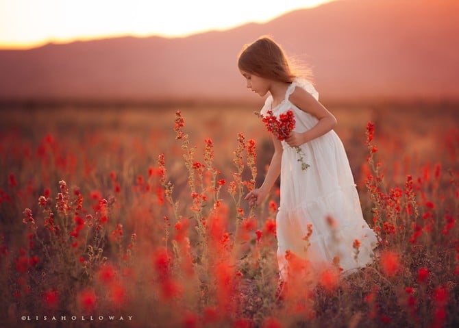 lisaholloway02