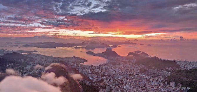 rio in pink