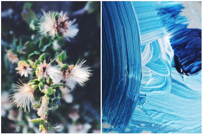 Photojojo_Iris_6