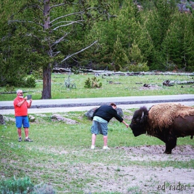 parks-social-media-02