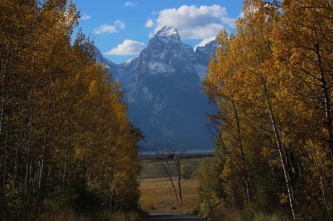 parks-social-media-03