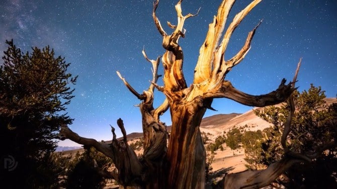 Screen Shot 2016-02-25 at 9.10.16 AM