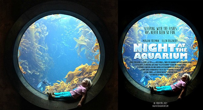 night_at_the_aquarium