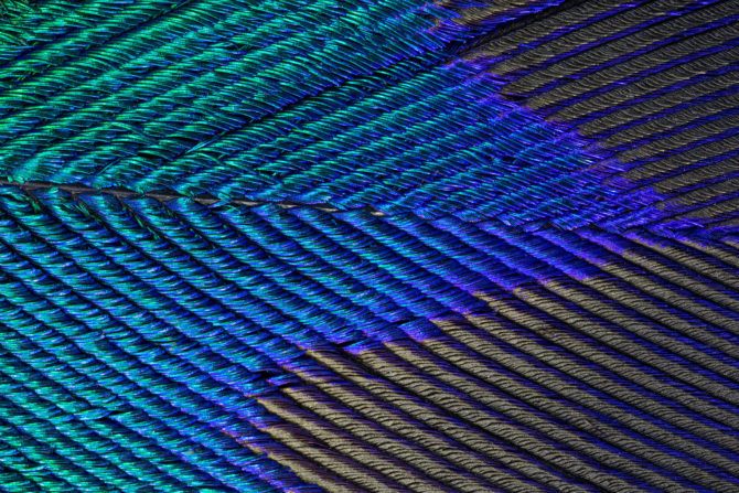 26062222382_c0d015219a_h