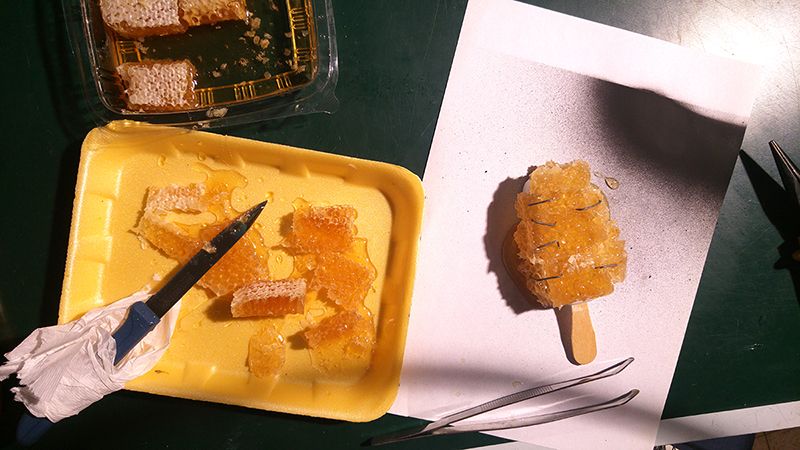 crime-food-16