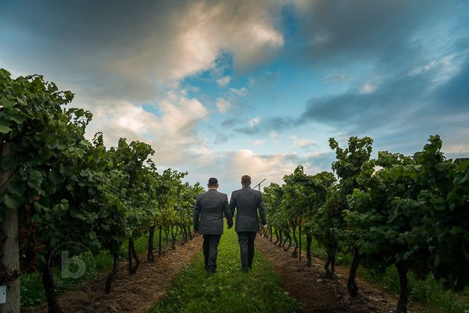 Paul & Eric's wedding at Reif Estate Winery and the Grand Victorian Niagara On the Lake