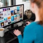 Bookkeeping Software for Creative Professionals