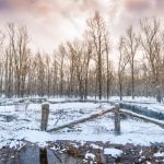 Wide angle view wire fence at edge of winter forest under stormy cloudy sky
