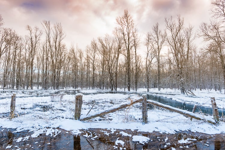 Wide angle view wire fence at edge of winter forest under stormy cloudy sky