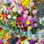 Cheap DIY Dollar Store Photography Gear