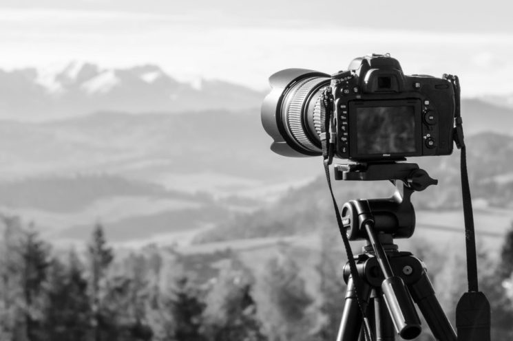 black and white landscape