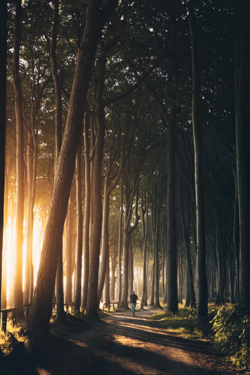 Daniel-Ernst Photographer Spotlight DIYphotography