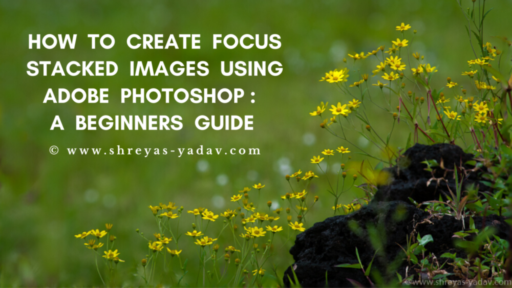 A beginner’s guide to focus stacking in Photoshop