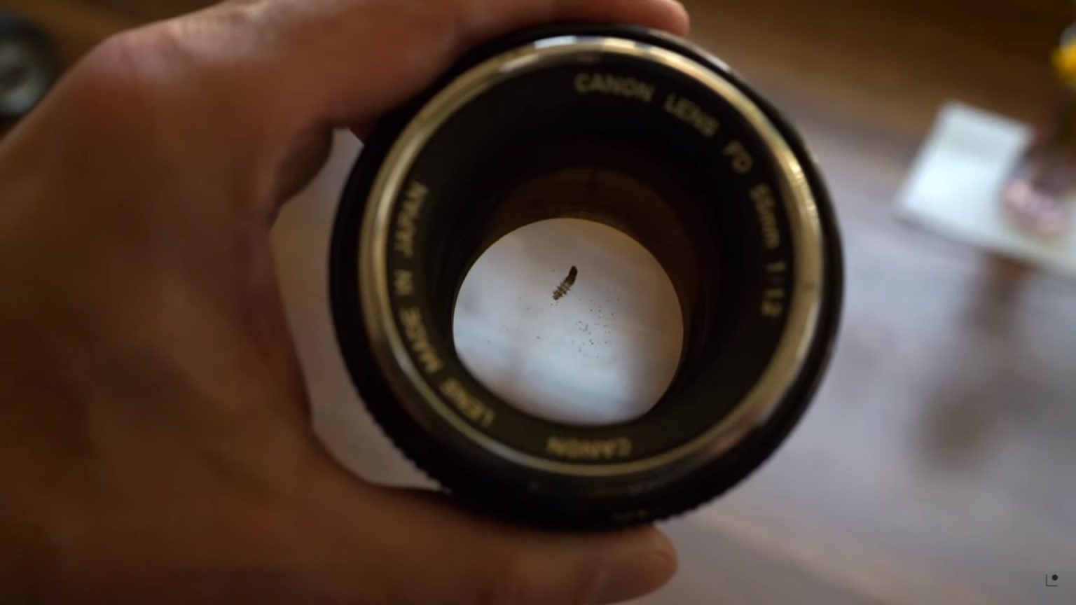 Photographer finds a bug in his lens. But will it show in the photos?