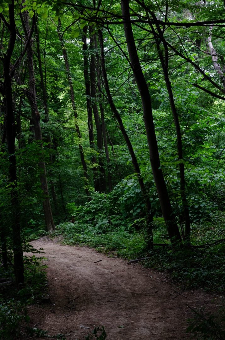 fruska gora landscape