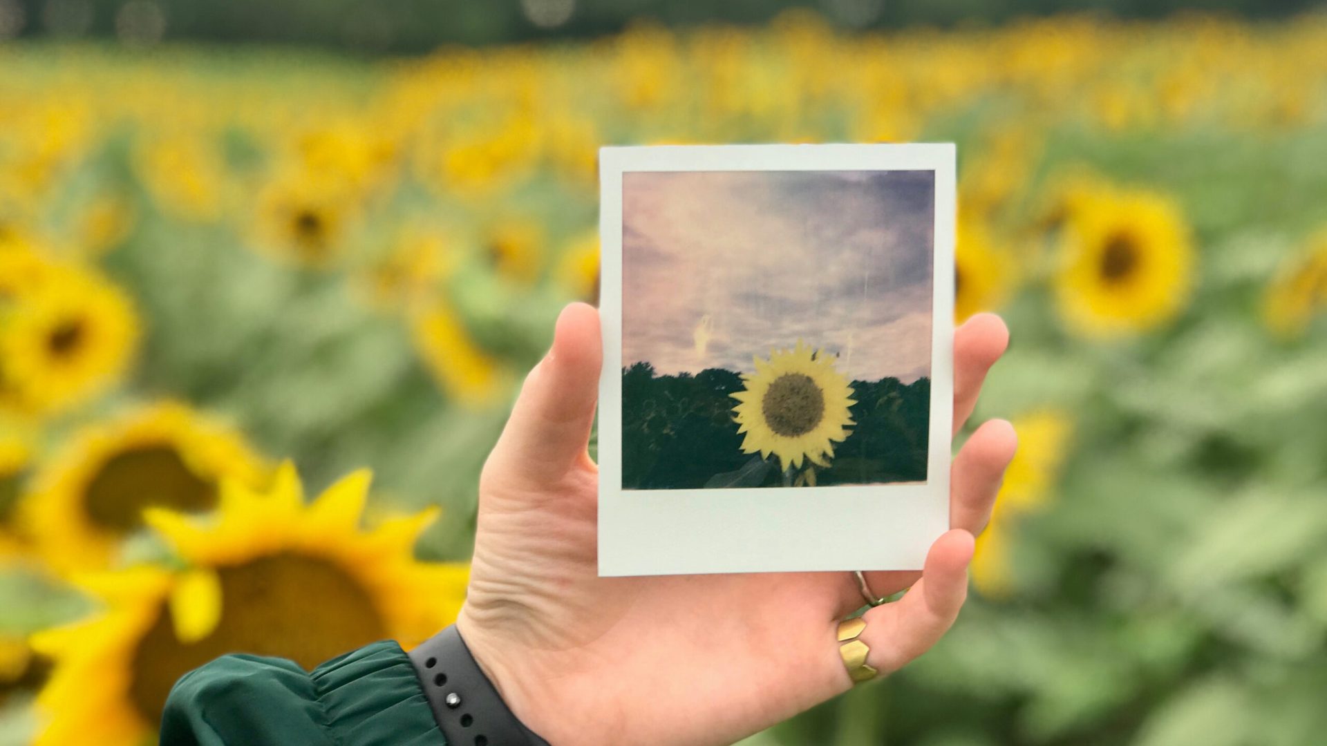 fix shiny polaroid print