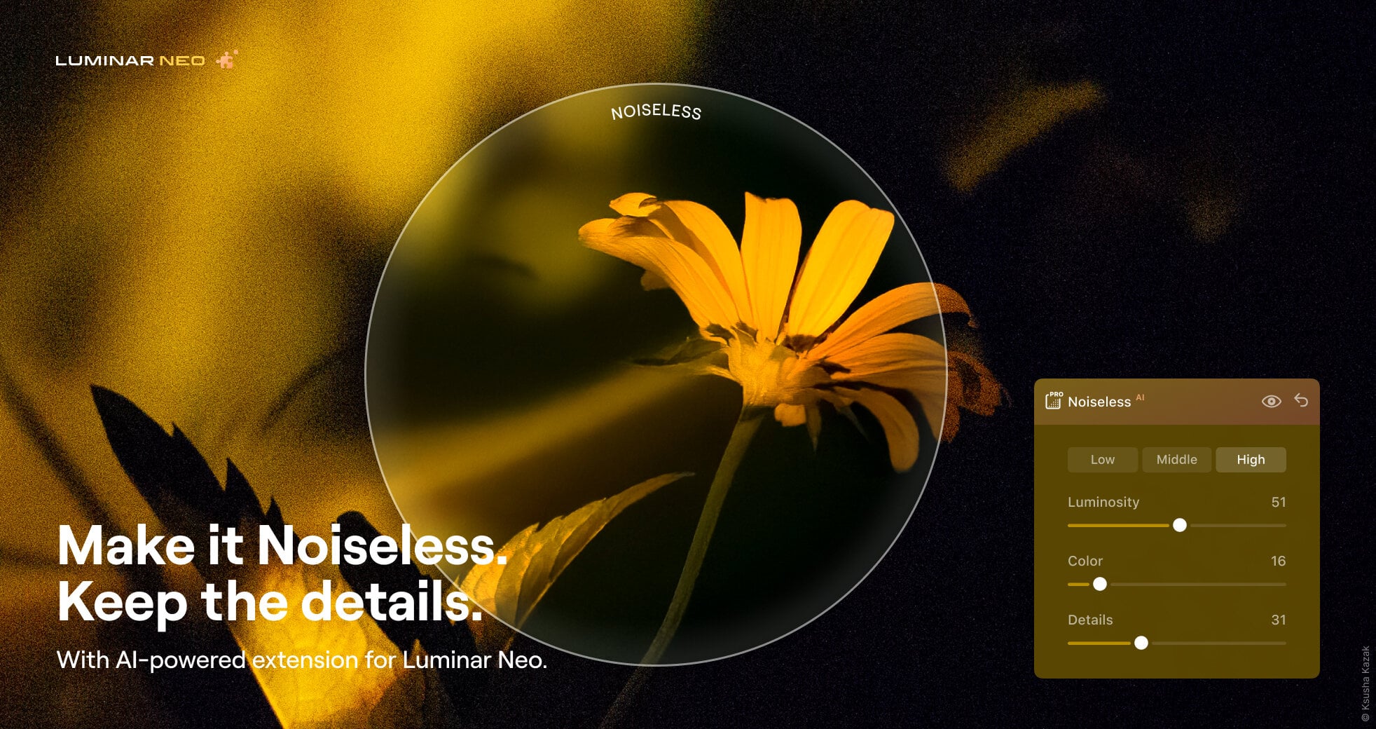 Luminar Neo noiseless AI