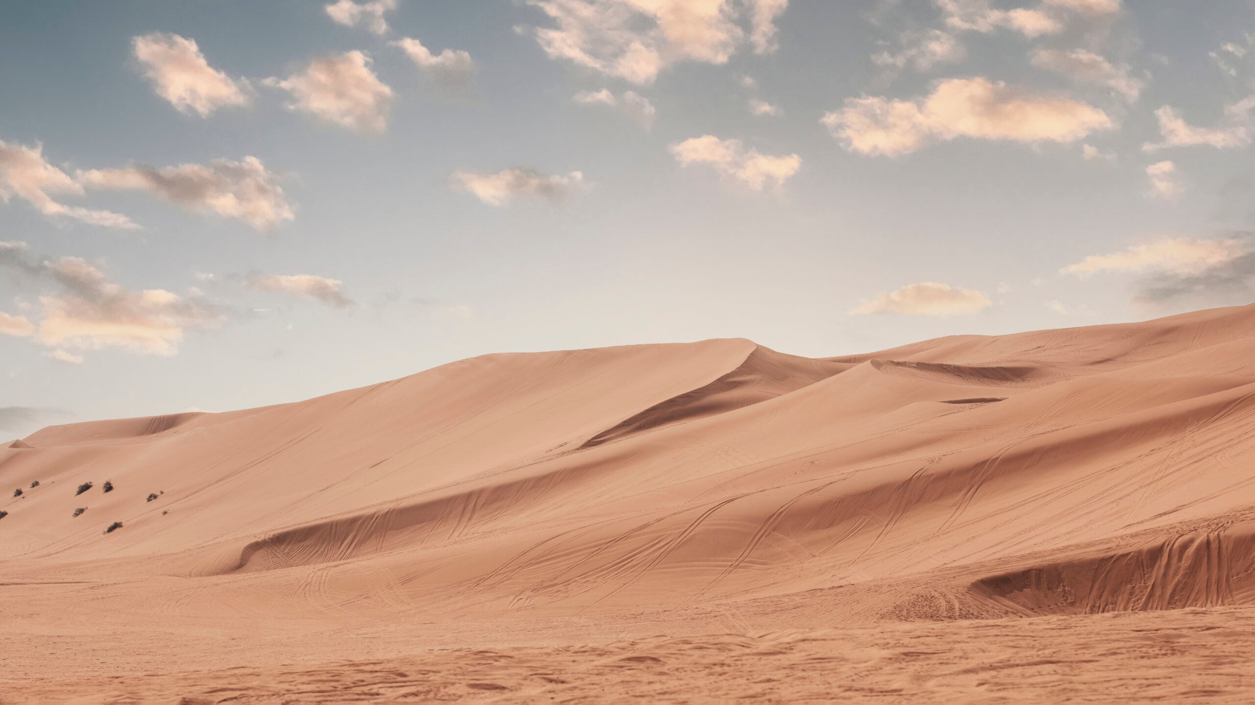 photographer dies sand dune