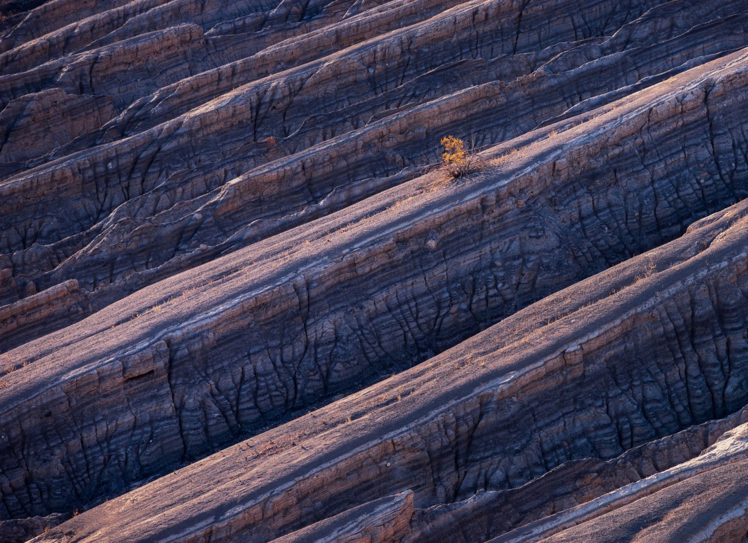 I am a nature photographer based in the Upper Midwestern region of the United States, and I also travel to protected public lands around the United States that inspire me. Since I began photographing the natural world in 2012, my motivations have continuously evolved and I've found it surprisingly difficult to answer the question "why do I keep doing this?", despite spending untold hours and energy on it year after year. Recently, I finally found a simple yet satisfactory answer - nature photography continually pushes me to grow as a person and do challenging yet rewarding things.