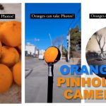 Amaze your friends: Make a pinhole camera out of an orange!