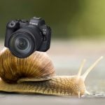 Canon already sorry for delays on the newly announced EOS R6 Mark II
