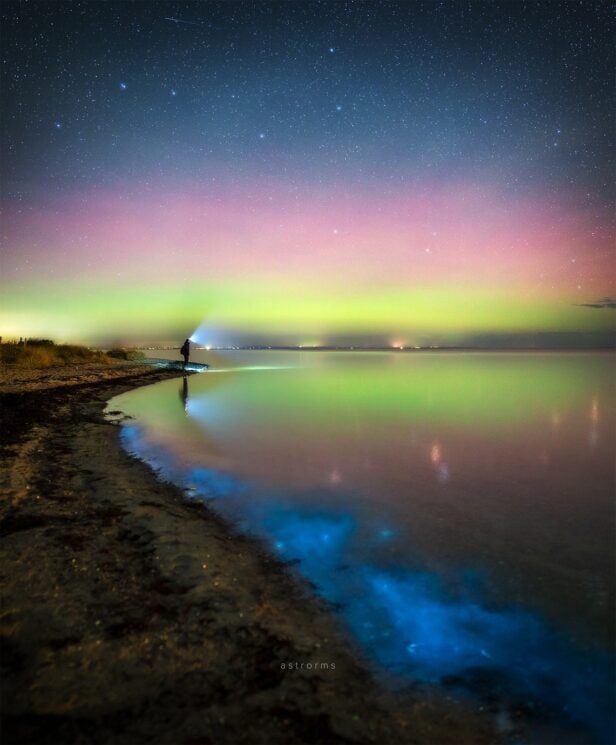 “Aurora and Bioluminescent Algae in Denmark”