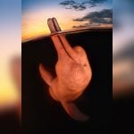 Photo of rare pink river dolphin wins Underwater Photographer of the Year