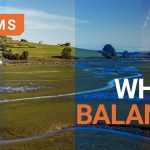 What is white balance in photography?