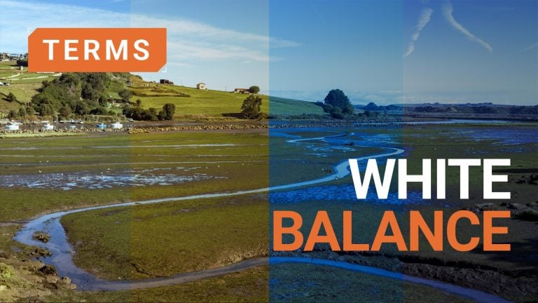 What is white balance in photography?