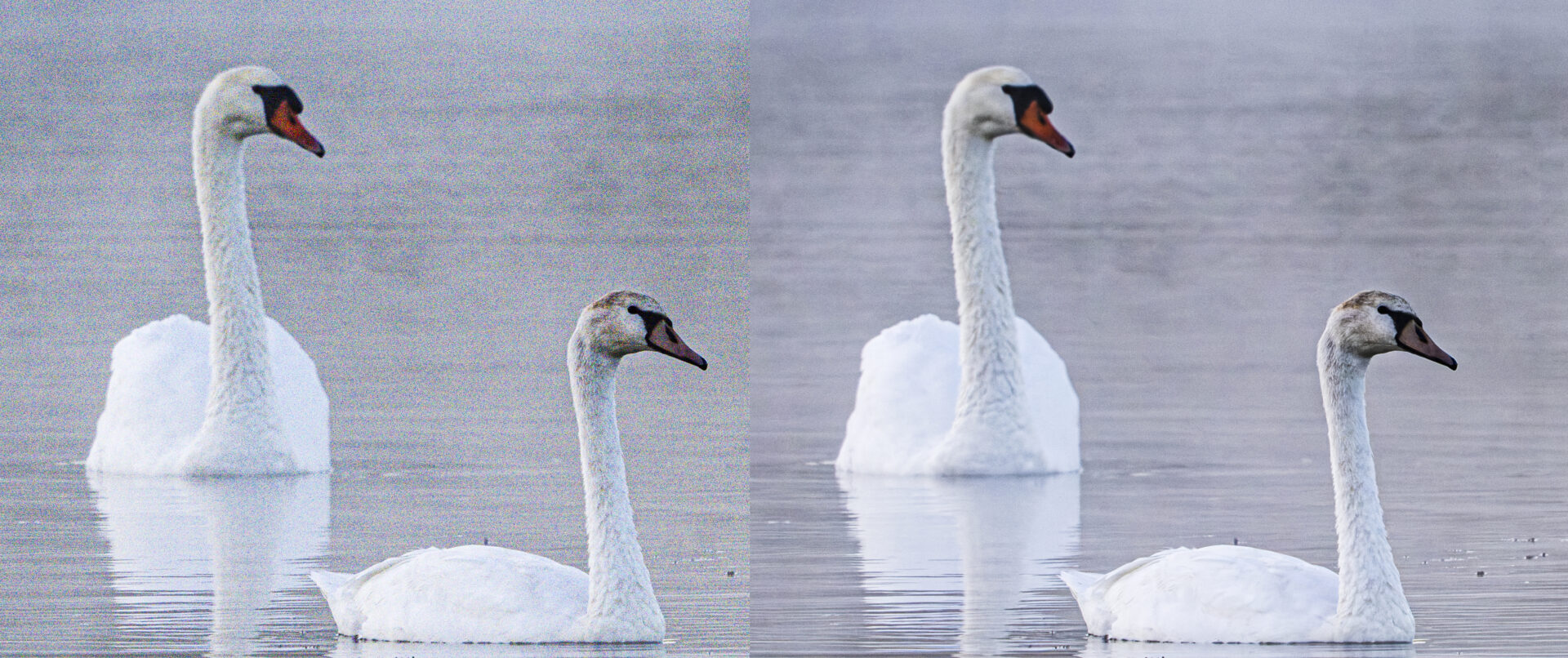 Adobe Lightroom reveals impressive updates to denoise and facial hair masking