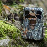 Unidentifiable animal caught on Texas park camera trap